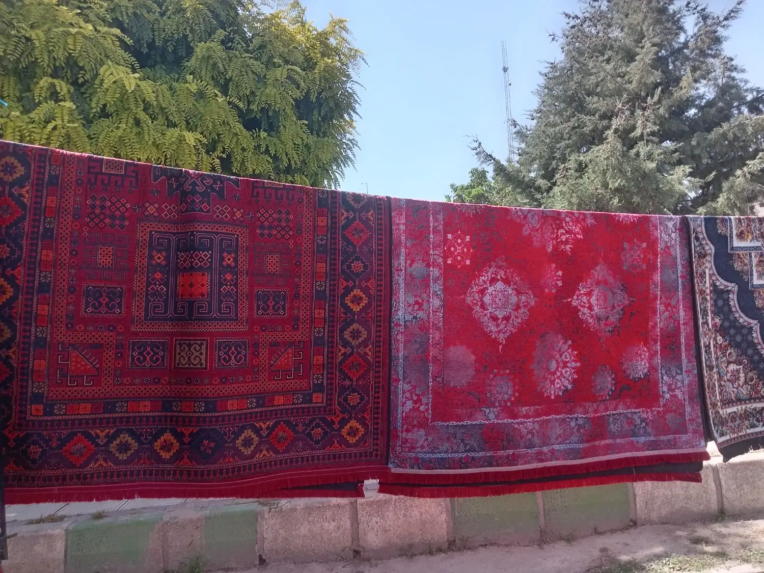 قالیچه ب قیمت تولیدی مستقیم|فرش|کرمانشاه, |دیوار