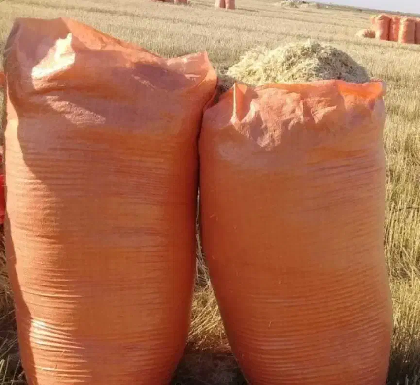 فروش کاه|حیوانات مزرعه|شبانکاره, |دیوار