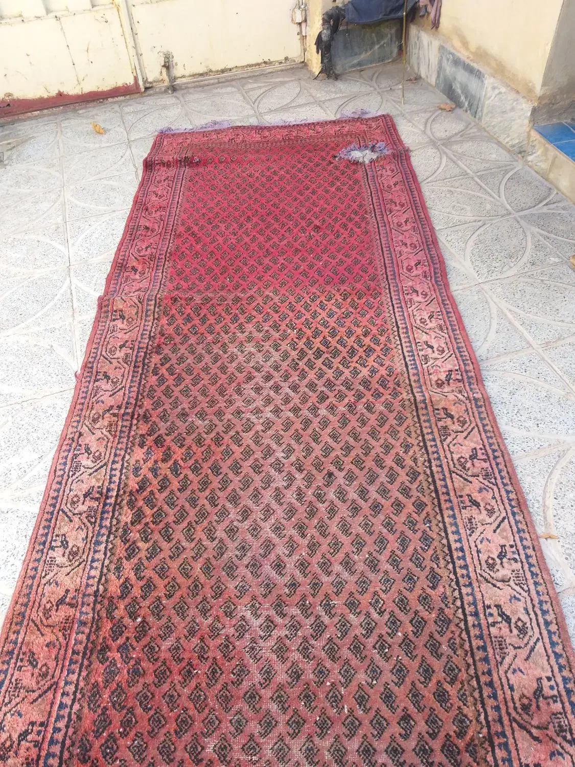 کناره ۷متر دست بافت|فرش|کوهدشت, |دیوار