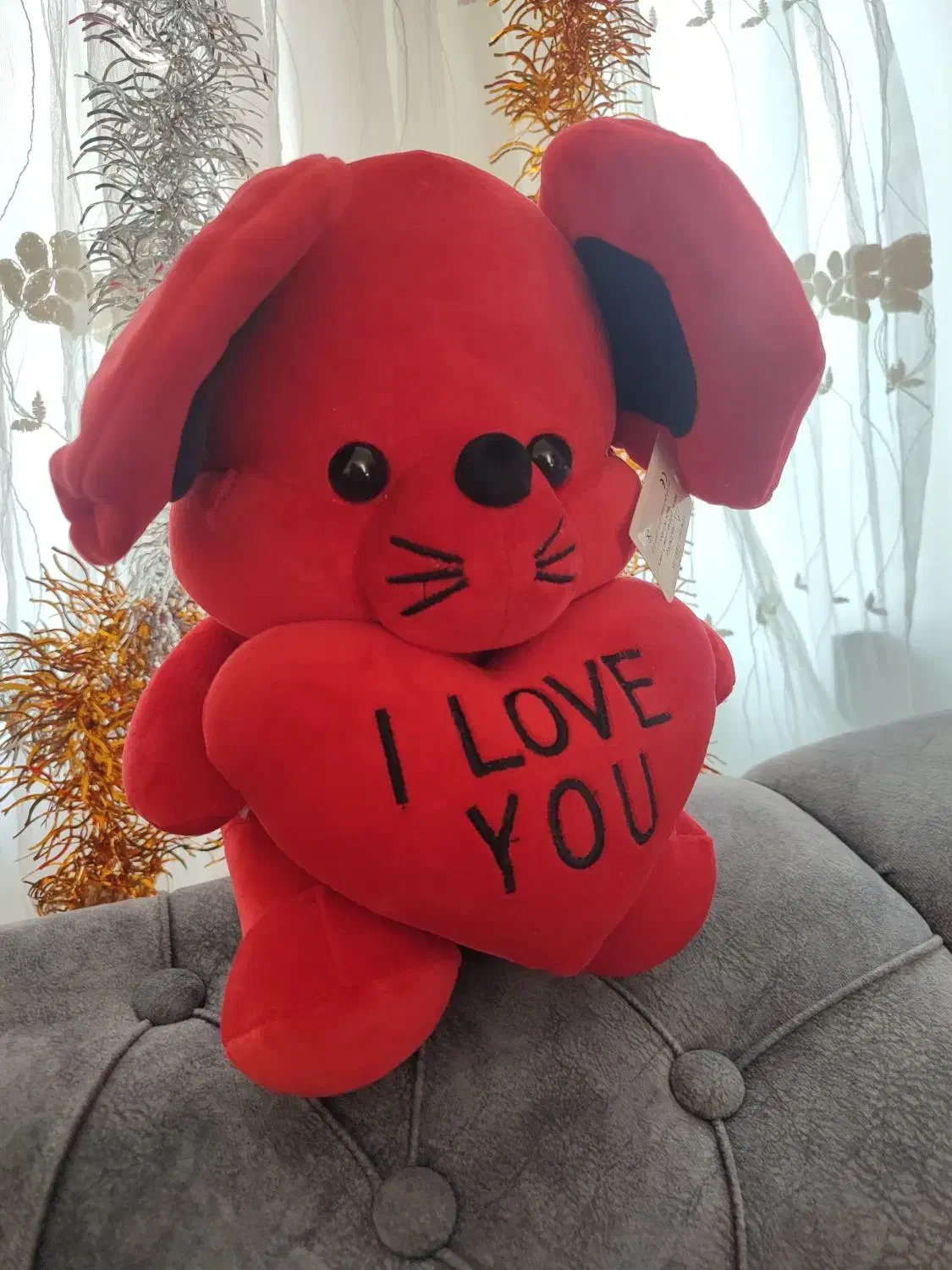 عروسک زیبا|اسباب‌‌بازی|گرگان, |دیوار