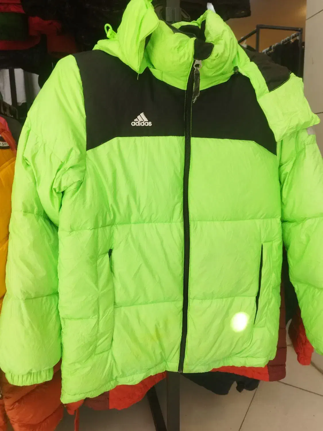 کاپشن های خارجی اورجینال در فروشگاه استوک|لباس|مرودشت, سهلآباد|دیوار