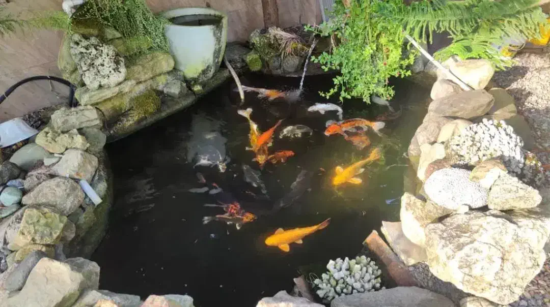 ویلاباغ ۵۰۰متری/سند تک برگ/۲۲۰متر بنا/فول امکانات|فروش خانه و ویلا|رشت, بلوار گیلان|دیوار