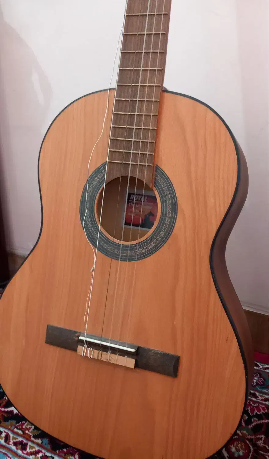 گیتار آموزشی رویال|گیتار، بیس، امپلیفایر|همدان, |دیوار