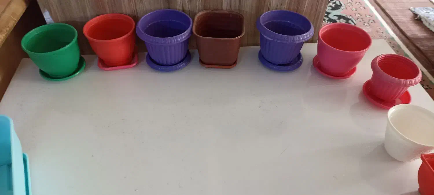 گلدان پلاستیکی|گل و گیاه طبیعی|تهران, مسعودیه|دیوار