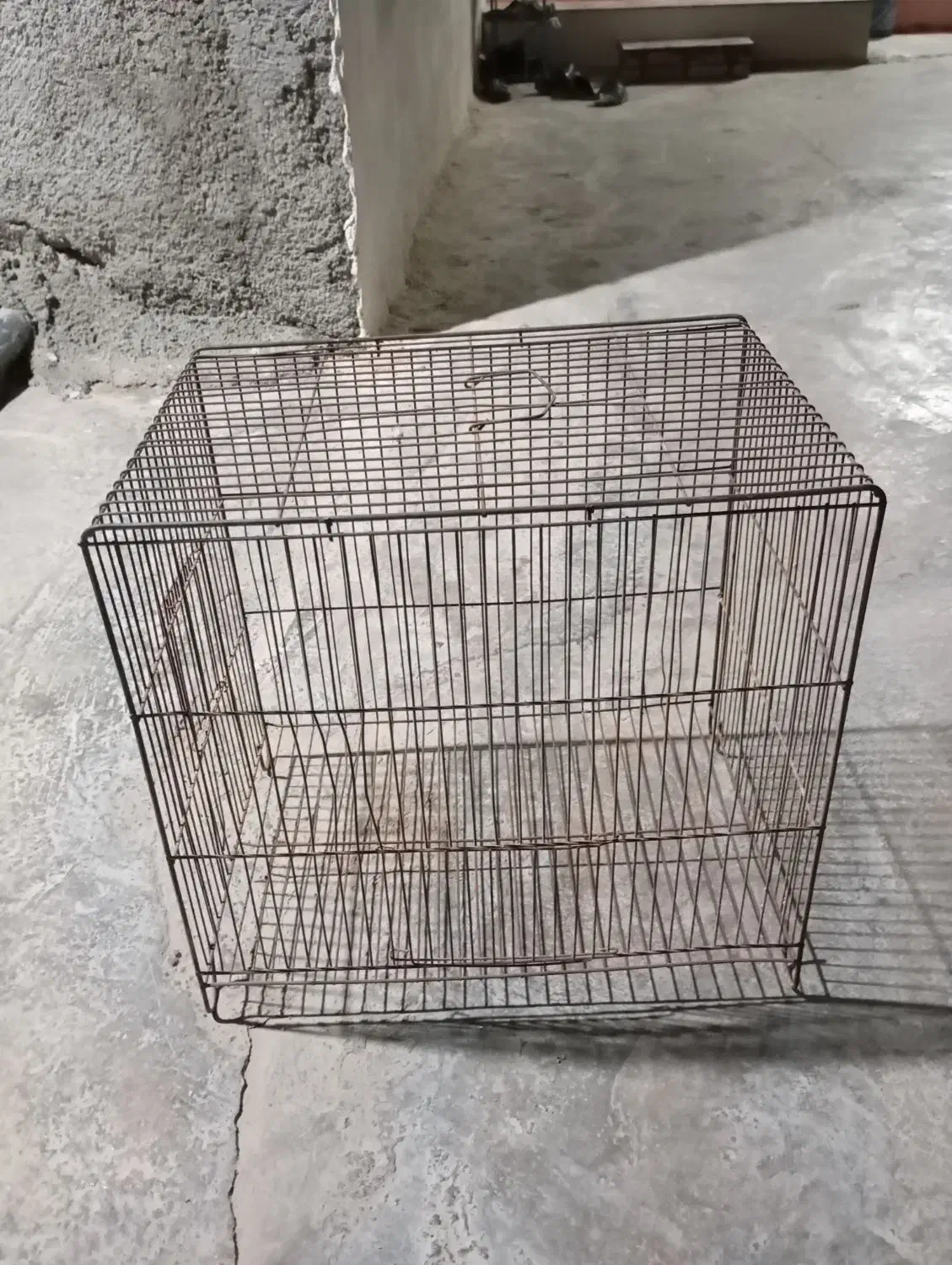 قفس پرنده|لوازم جانبی حیوانات|برازجان, |دیوار