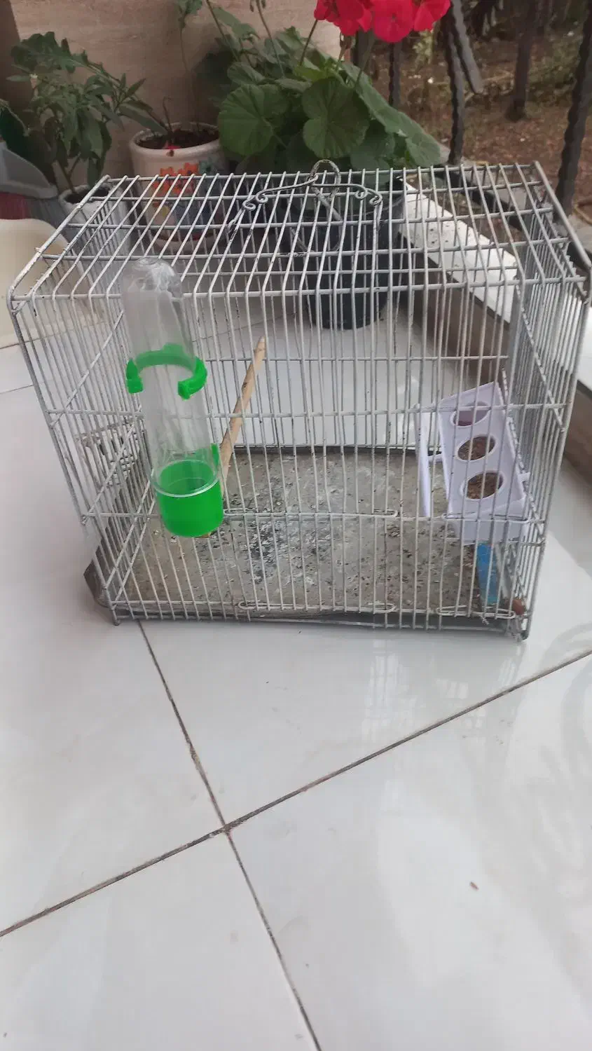 قفس غلامی سهره|لوازم جانبی حیوانات|لاهیجان, لیالستان|دیوار