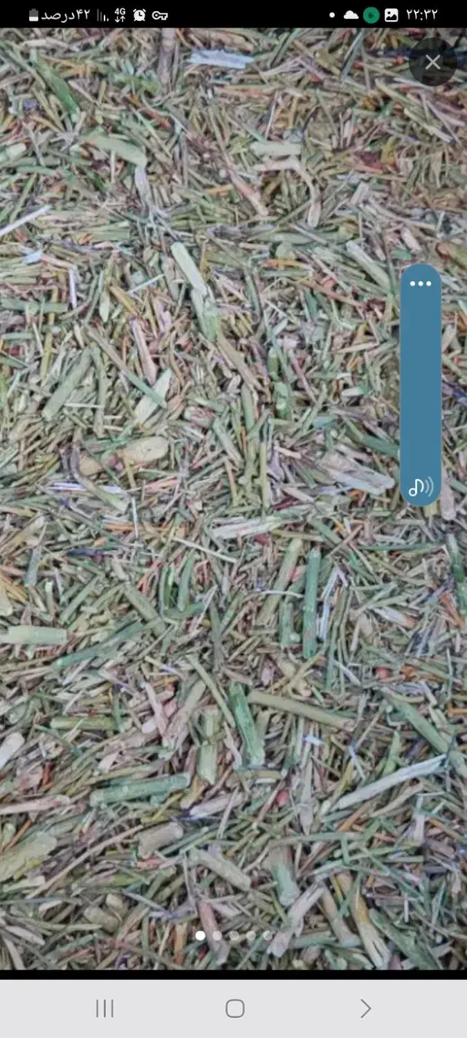 کاه خار|حیوانات مزرعه|نیشابور, ده حلاج|دیوار