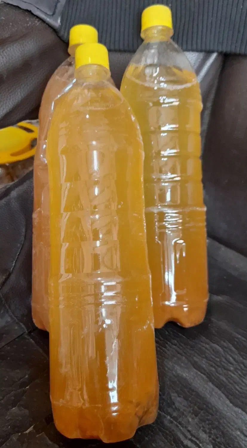 آبغوره  سیب خشک|خوردنی و آشامیدنی|پاکدشت, پاکدشت (مامازند)|دیوار