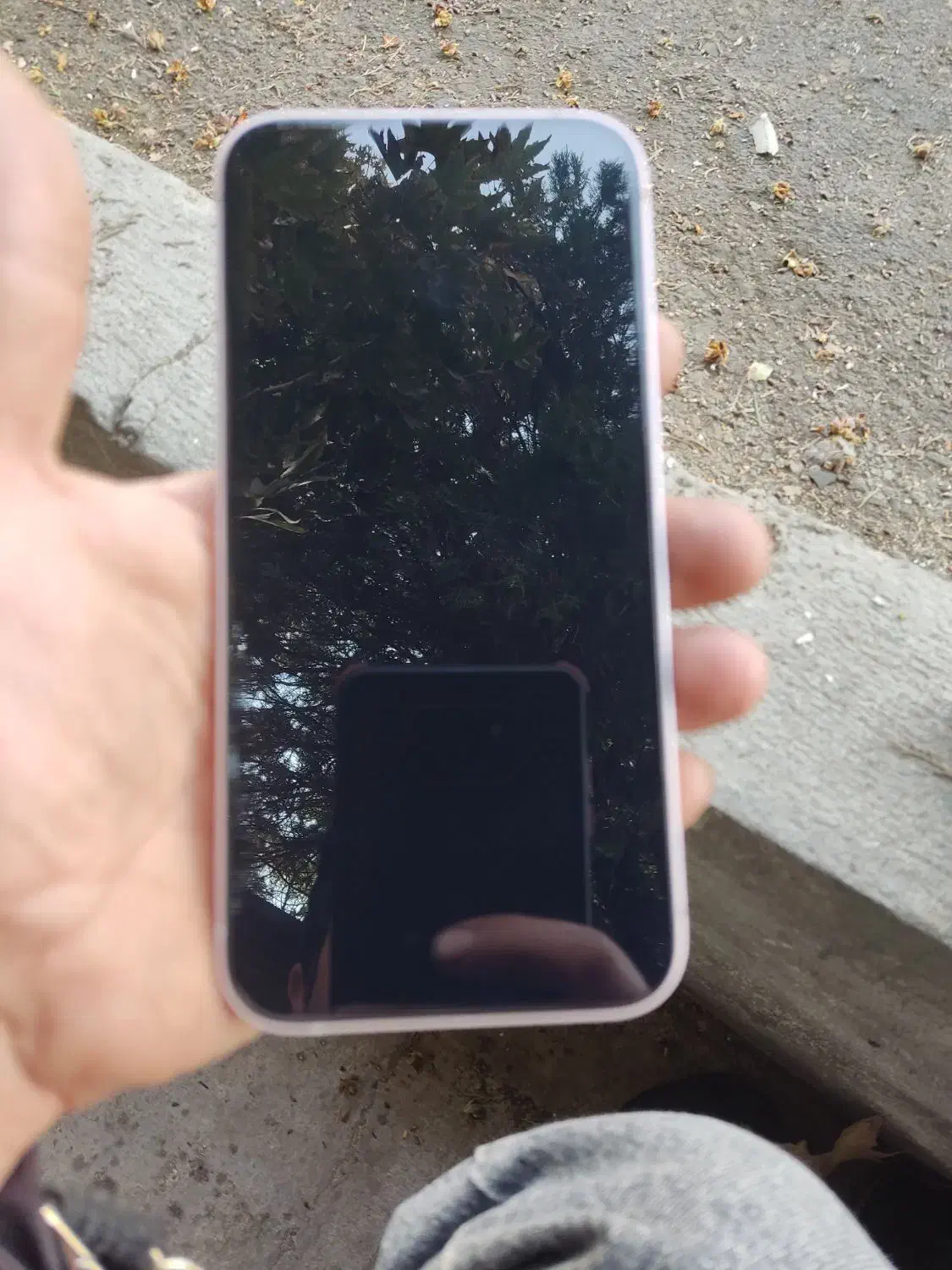 اپل iPhone 13 با حافظهٔ ۱۲۸ گیگابایت|موبایل|تهران, مخصوص|دیوار
