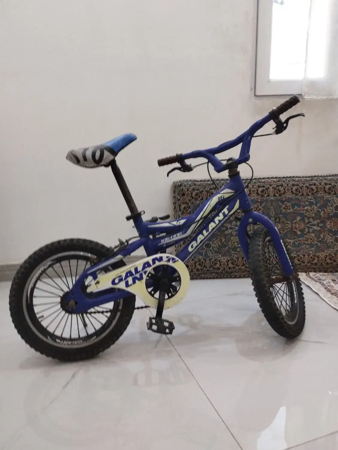 دوچرخه 16|دوچرخه، اسکیت، اسکوتر|رباطکریم, رباطکریم|دیوار