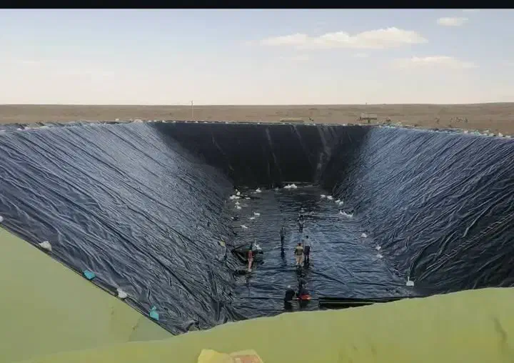 استخر کشاورزی /استخر پرورش ماهی/ورق ژئوممبران/موکت|خدمات باغبانی و درختکاری|جغتای, |دیوار