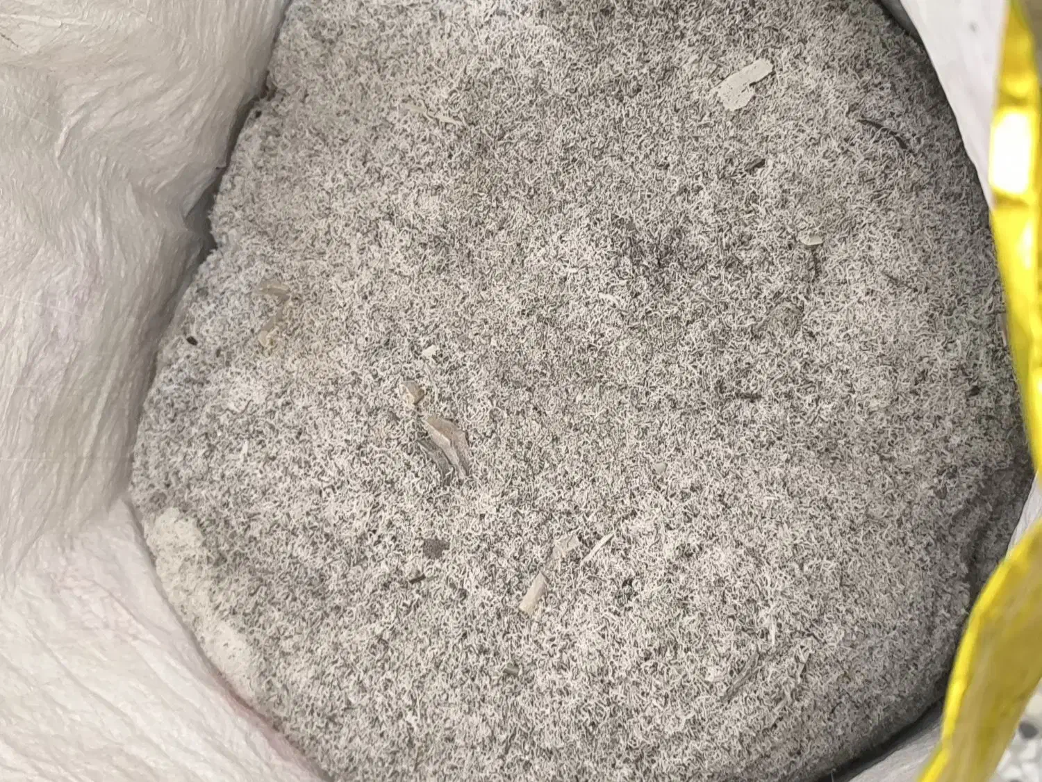 پودر شاخ|خدمات باغبانی و درختکاری|فلاورجان, |دیوار