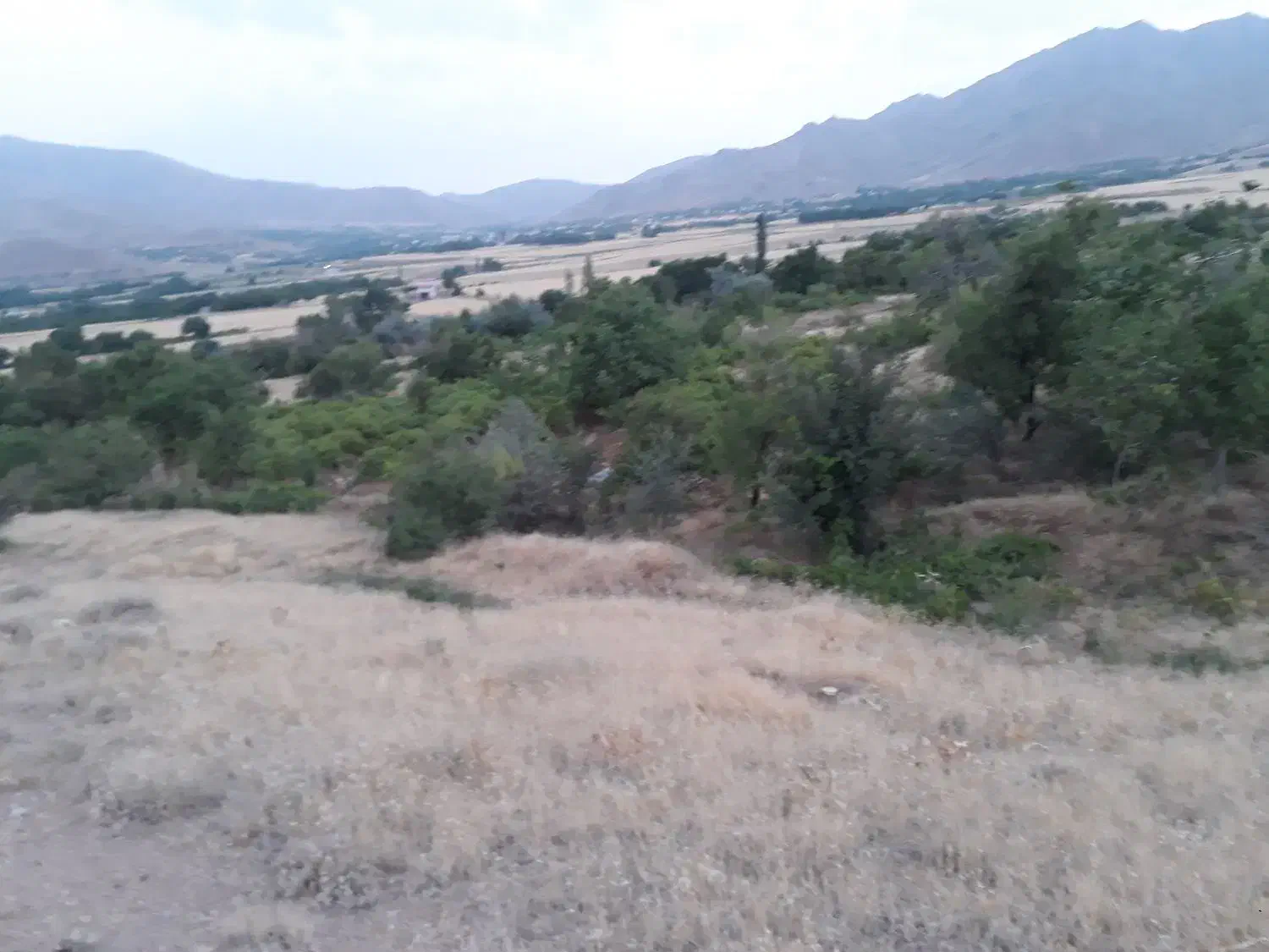 زمین کشاورزی|فروش دفتر صنعتی، کشاورزی، تجاری|شازند, |دیوار