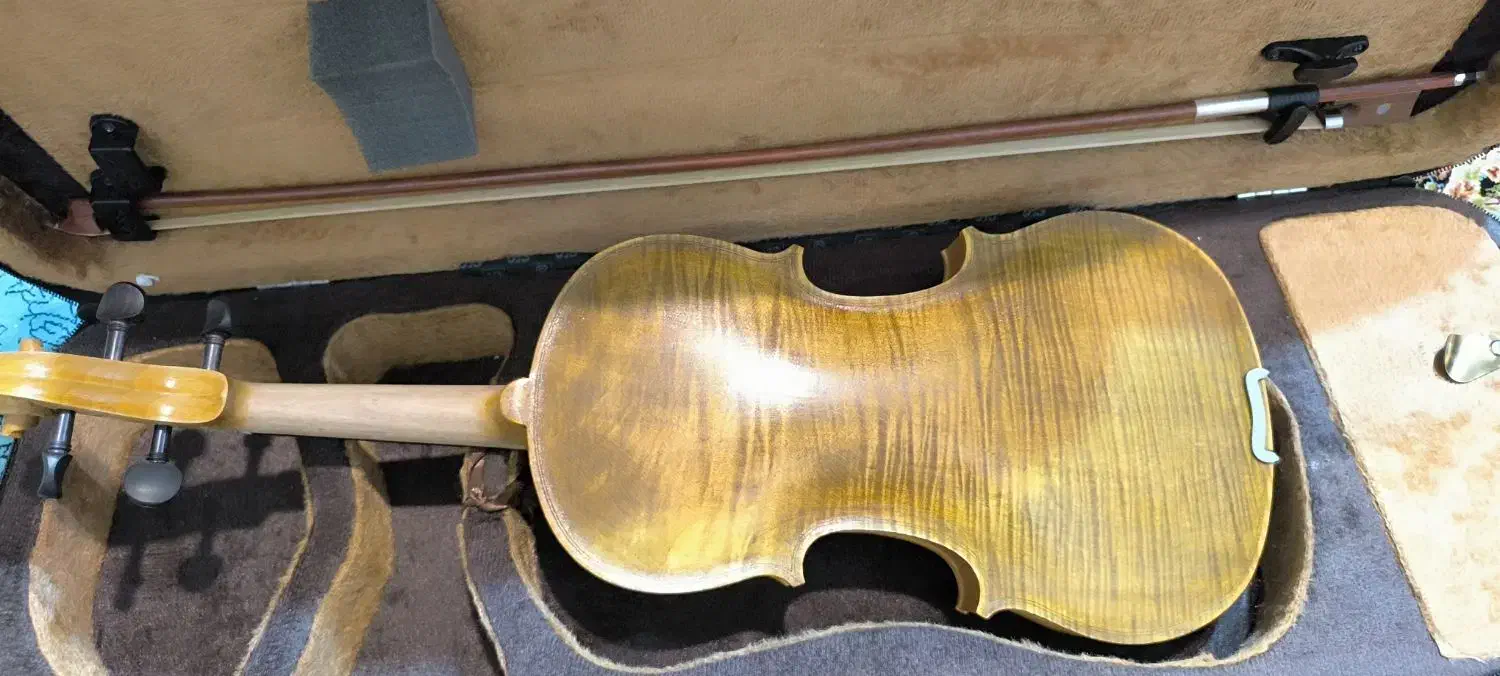 ویلن|ویولن|شیراز, شهرک قمشه|دیوار