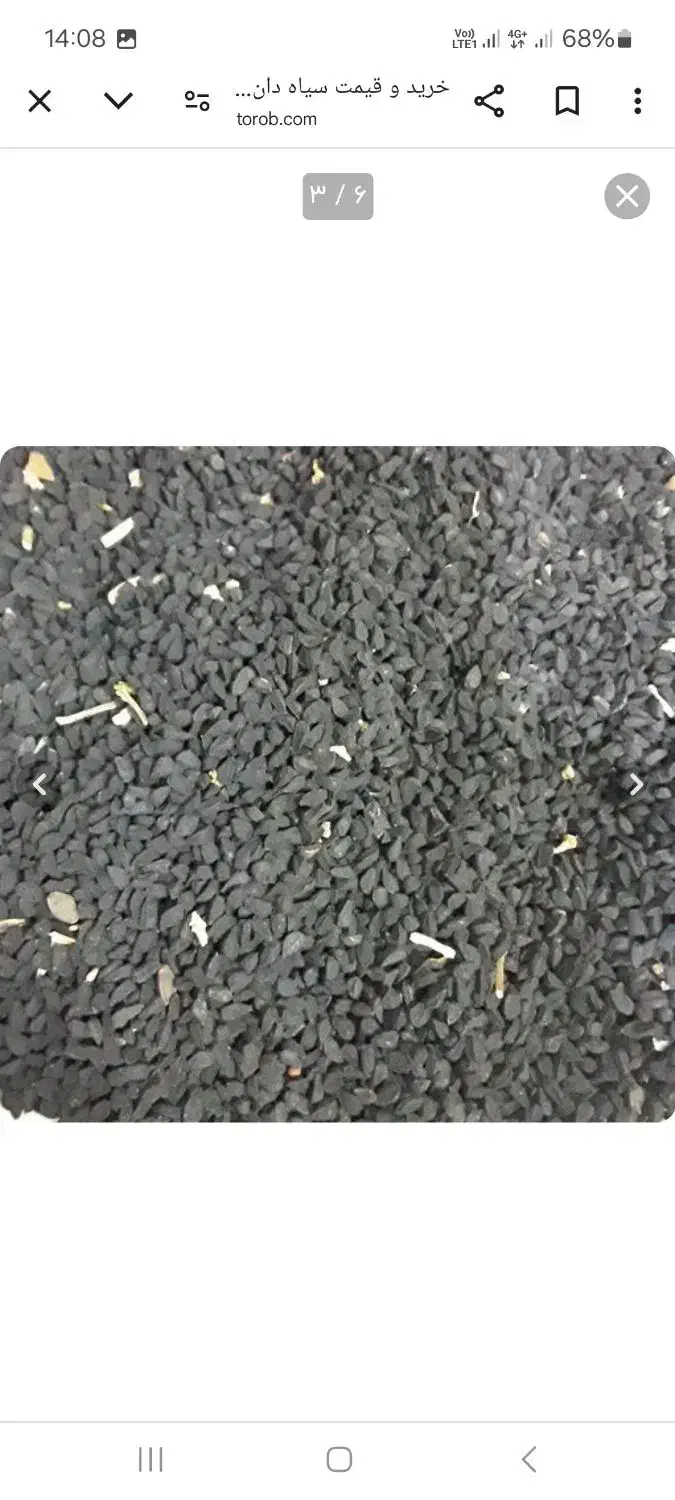 سیاه دانه محلی|عمدهفروشی|سروآباد, |دیوار