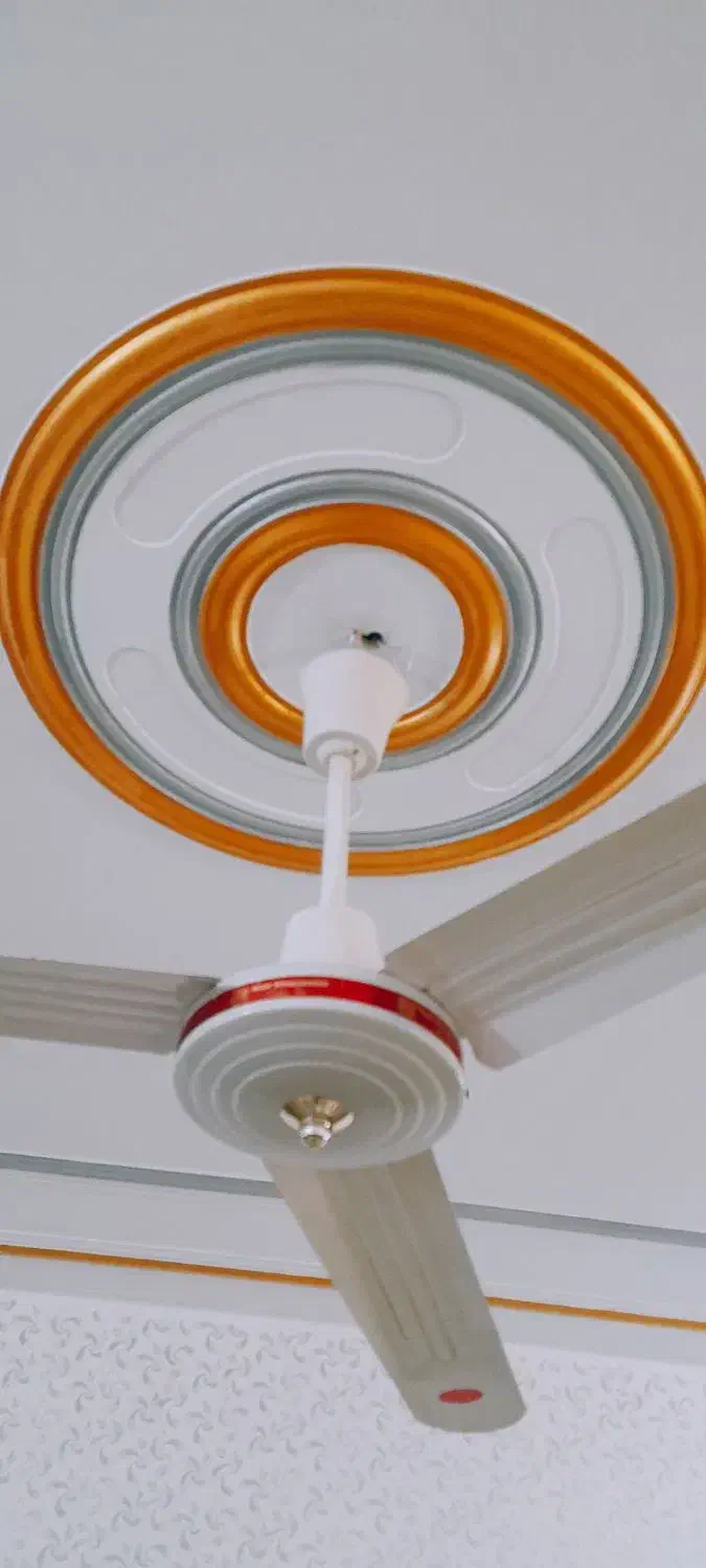 نقاش ساختمان|خدمات پیشه و مهارت|باوی, |دیوار