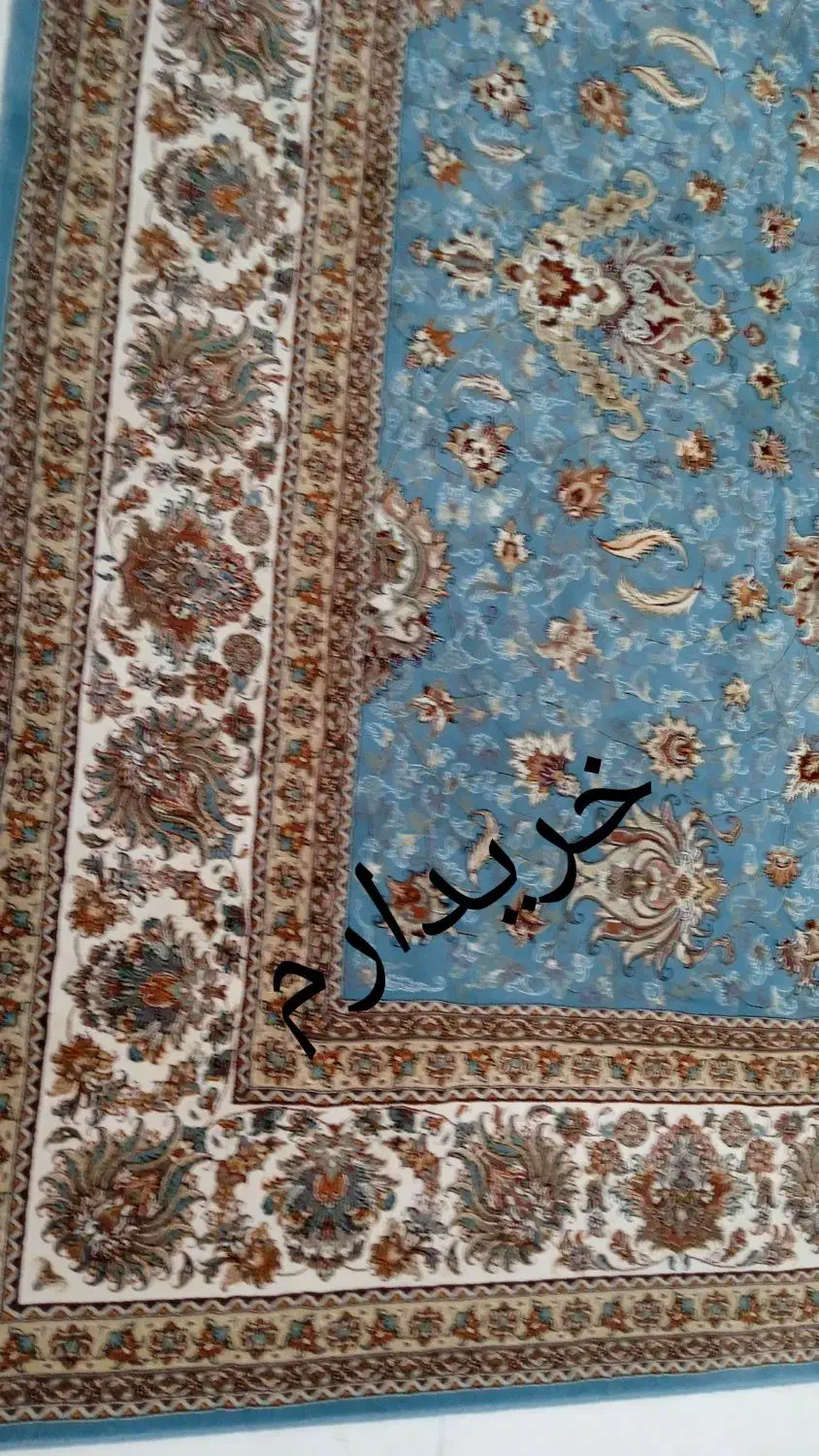 فرش|فرش|یاسوج, |دیوار