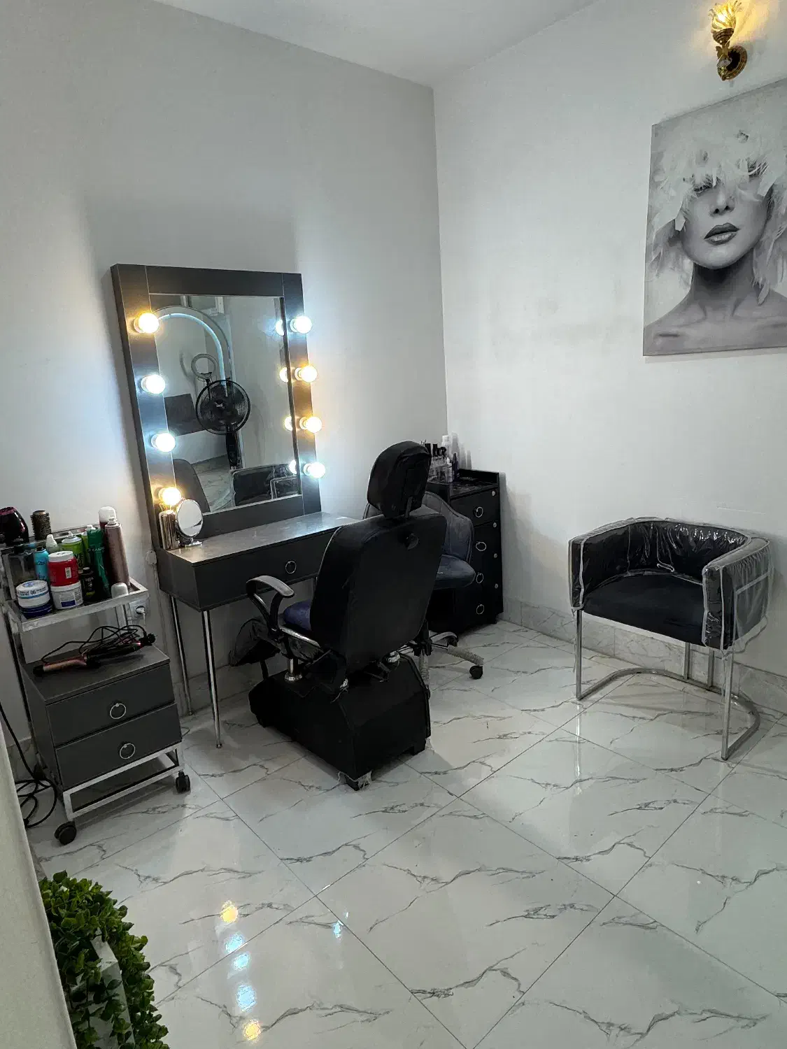 لوازم سالن|آرایشگاه و سالن‌های زیبایی|زنجان, |دیوار