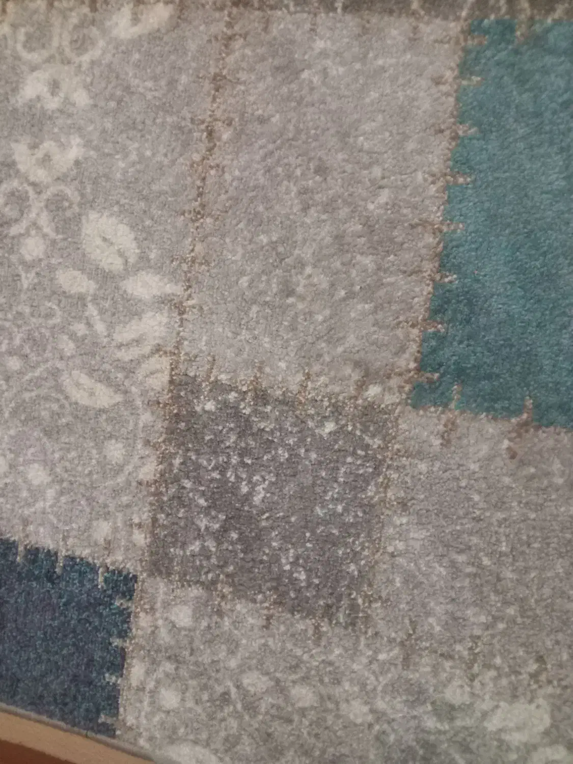 فرش در حد نو بازدید مهرگان|فرش|محمدیه-قزوین, |دیوار