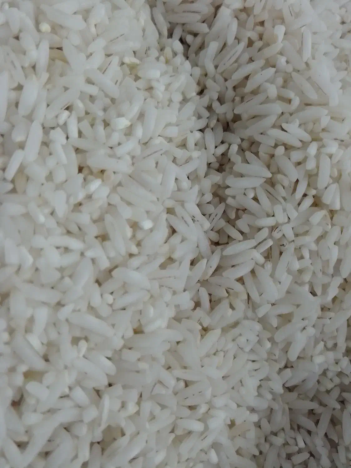 سرلاشه|خوردنی و آشامیدنی|قم, باسکول|دیوار