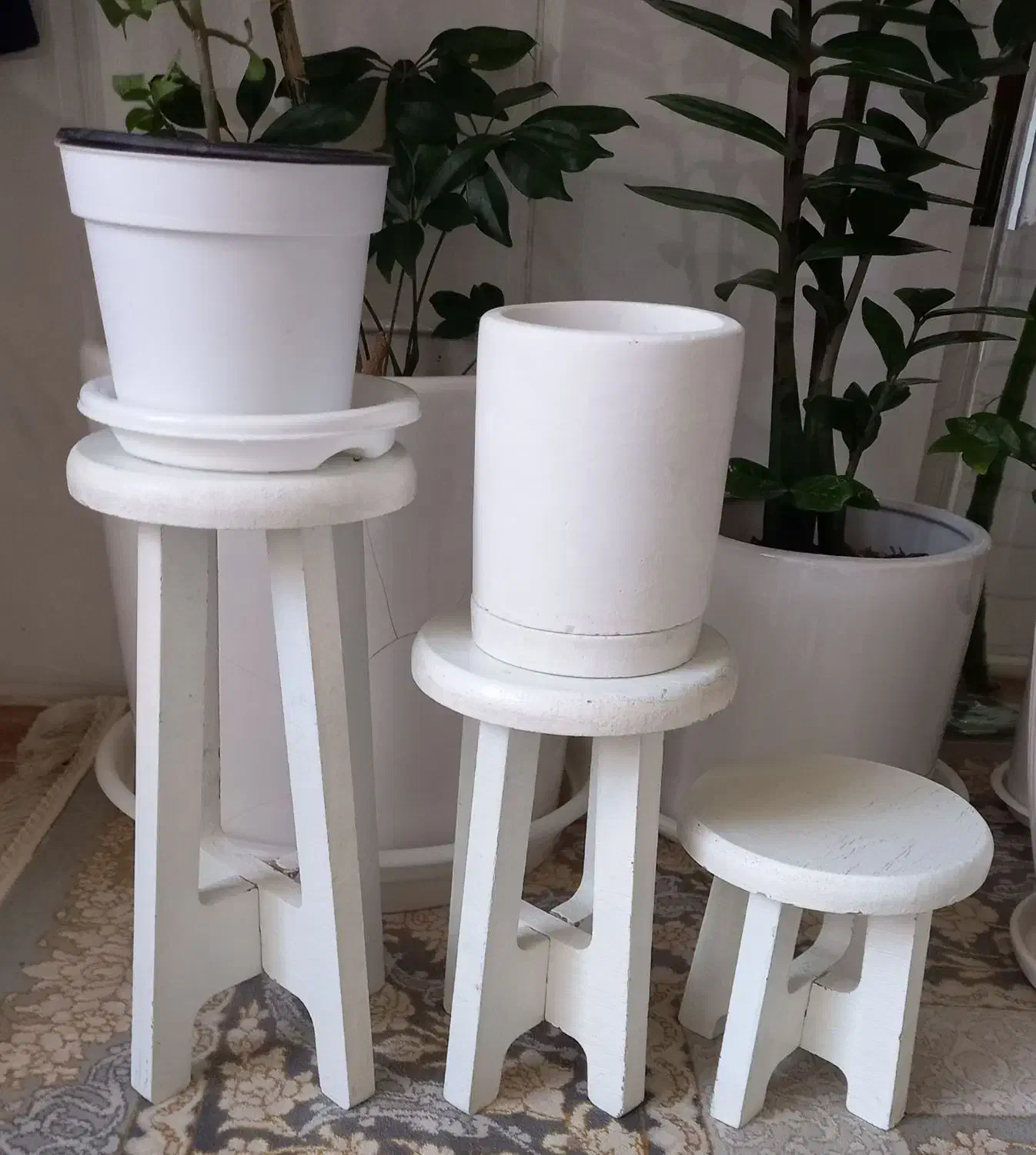 پایه گل|گل و گیاه طبیعی|لنجان, |دیوار