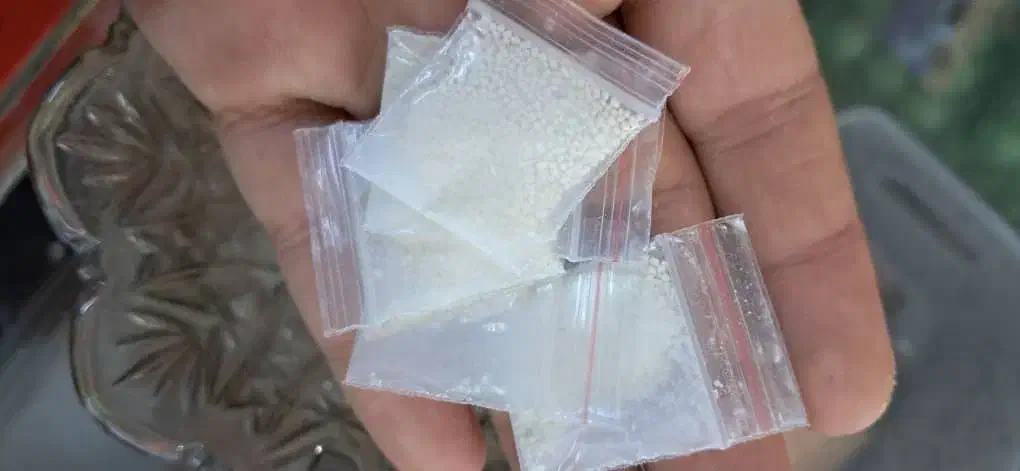 ۵۵۶|آرایشی، بهداشتی، درمانی|جهرم, |دیوار