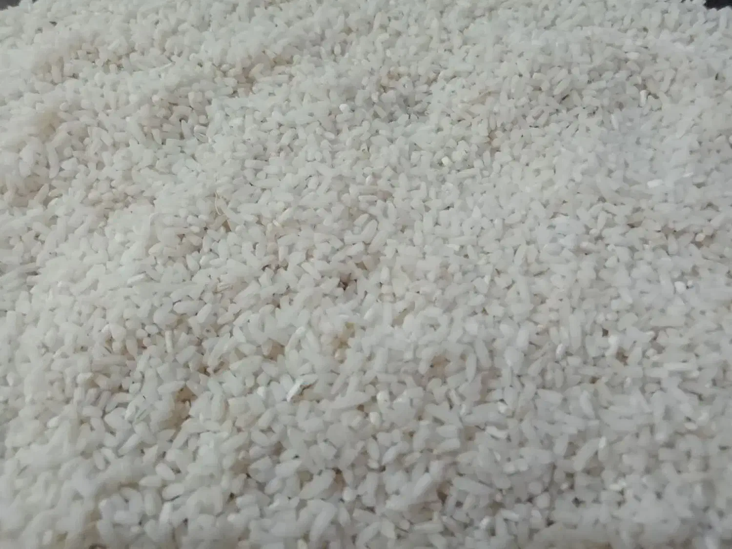 فروش برنج محلی|خوردنی و آشامیدنی|مهدی شهر, |دیوار