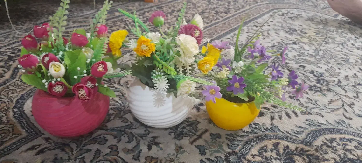 گلدان بزرگ همراه با گل ۶۰۰تومن تخفیف داره|گل و گیاه طبیعی|شیراز, کوی زهرا|دیوار