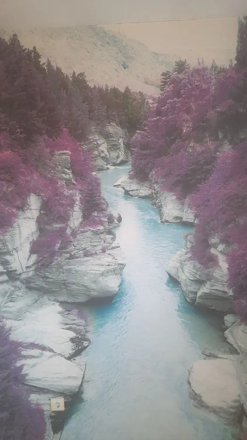 فروش کاغذ دیواری ونصب کاغذ دیواری بامهارت|خدمات پیشه و مهارت|سهند, |دیوار