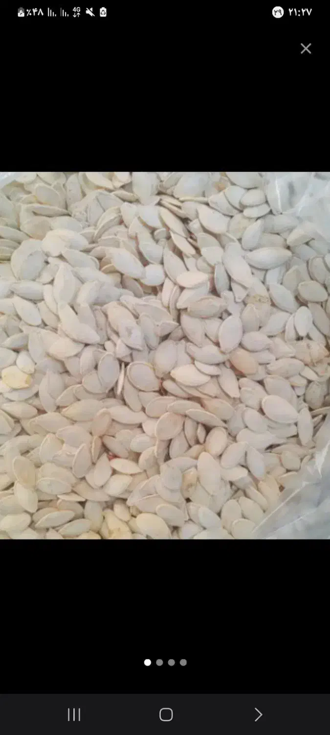 تخمه آجیلی|خوردنی و آشامیدنی|شاهین دژ, |دیوار