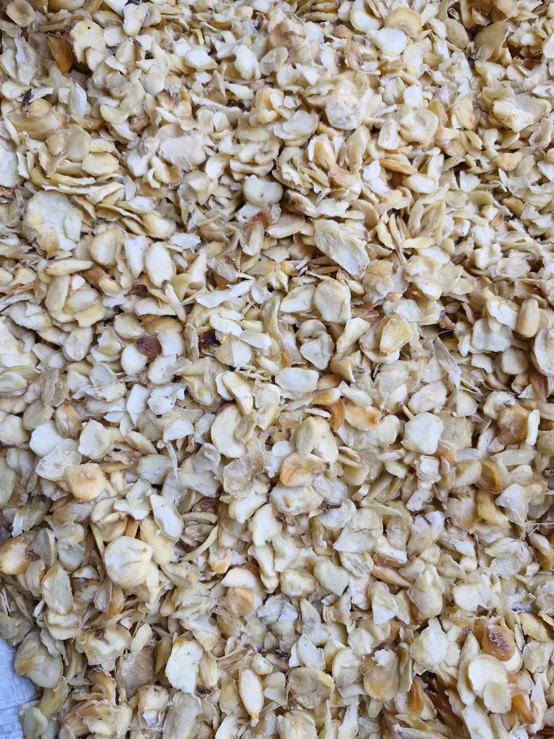 سیر خشک|عمده‌فروشی|گناباد, |دیوار