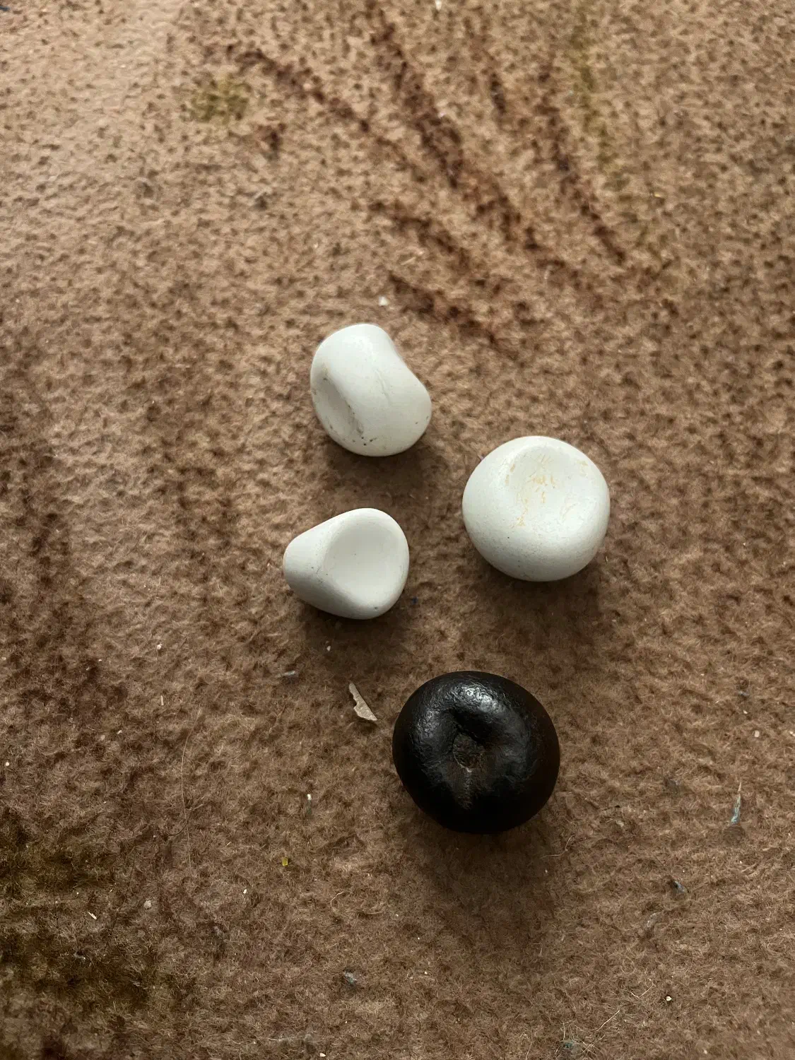 شهاب سنگ قیمتی|کلکسیون اشیاء عتیقه|شیراز, کوشک میدان|دیوار