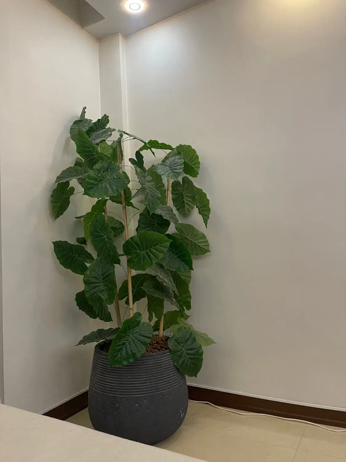 گلدان گل مصنوعی|گل مصنوعی|تهران, درب دوم|دیوار