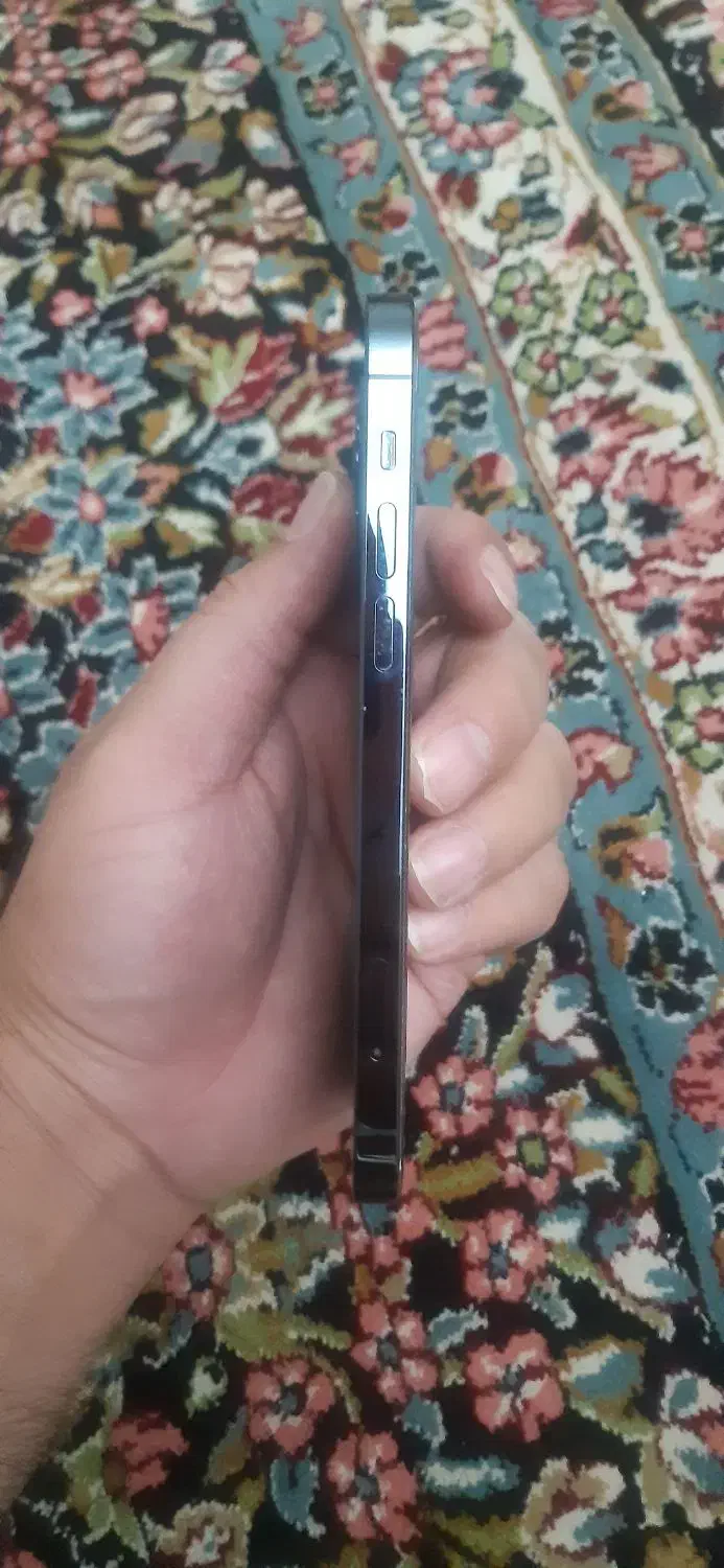 فروش آیفون ۱۲ پرو در حدنو|موبایل|کرمان, |دیوار