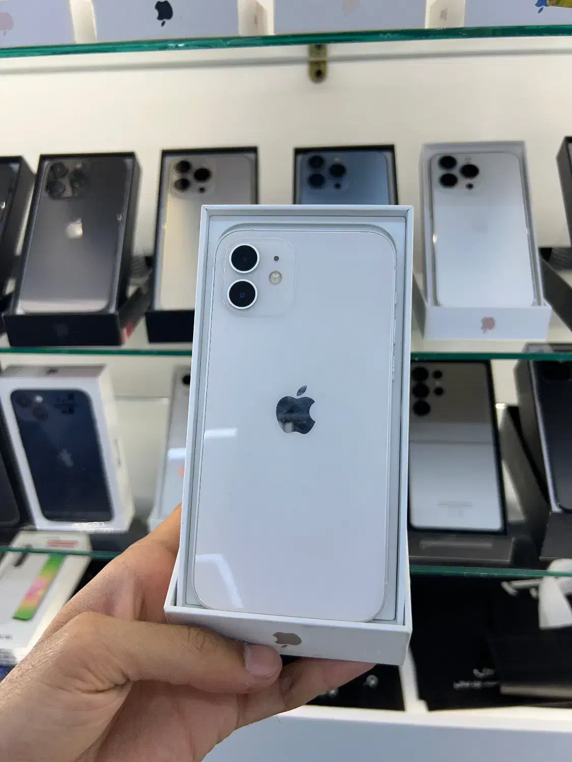 iphone 12 نرمال *قسطی*|موبایل|شیراز, گلدشت معالی‌آباد|دیوار
