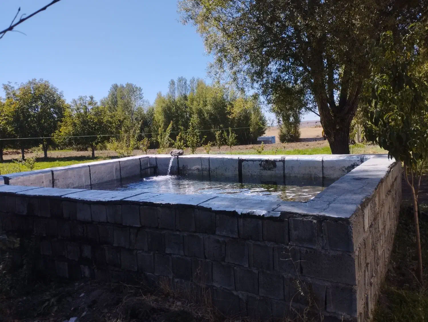 باغچه داخل بافت با مجوزساخت|فروش زمین و ملک کلنگی|ارشق, |دیوار