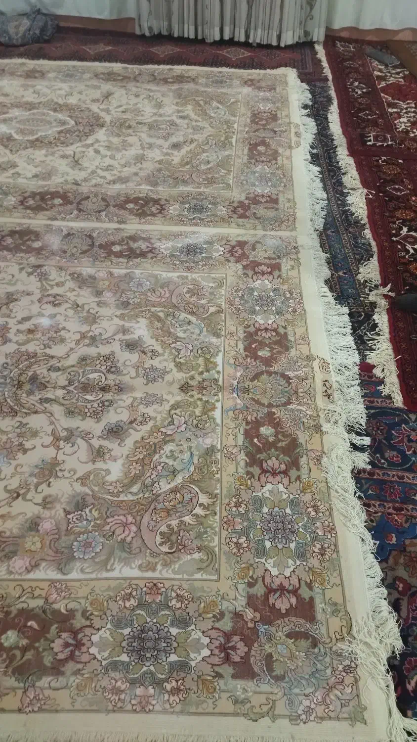 فرش دست باف|فرش|آذرشهر, |دیوار