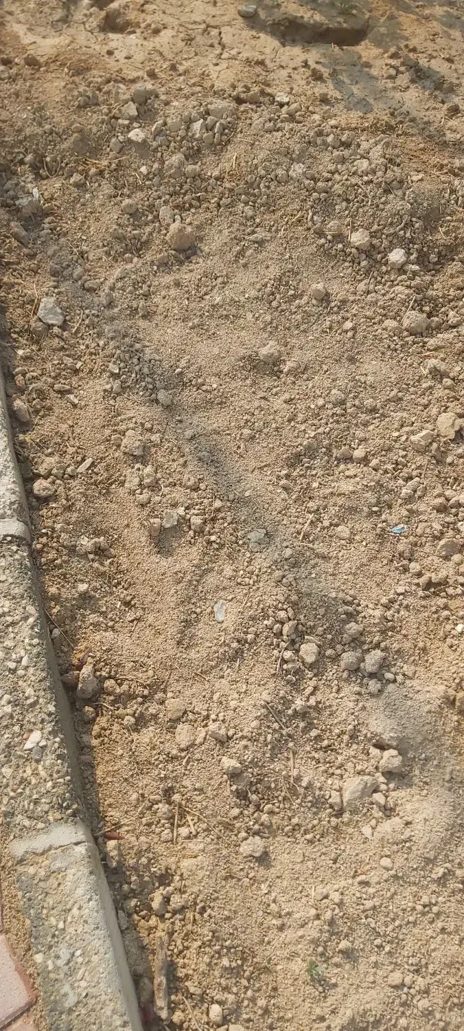 زمین مسکونی در محله بادرک روبروی مسجد|فروش زمین و ملک کلنگی|رودخانه, |دیوار