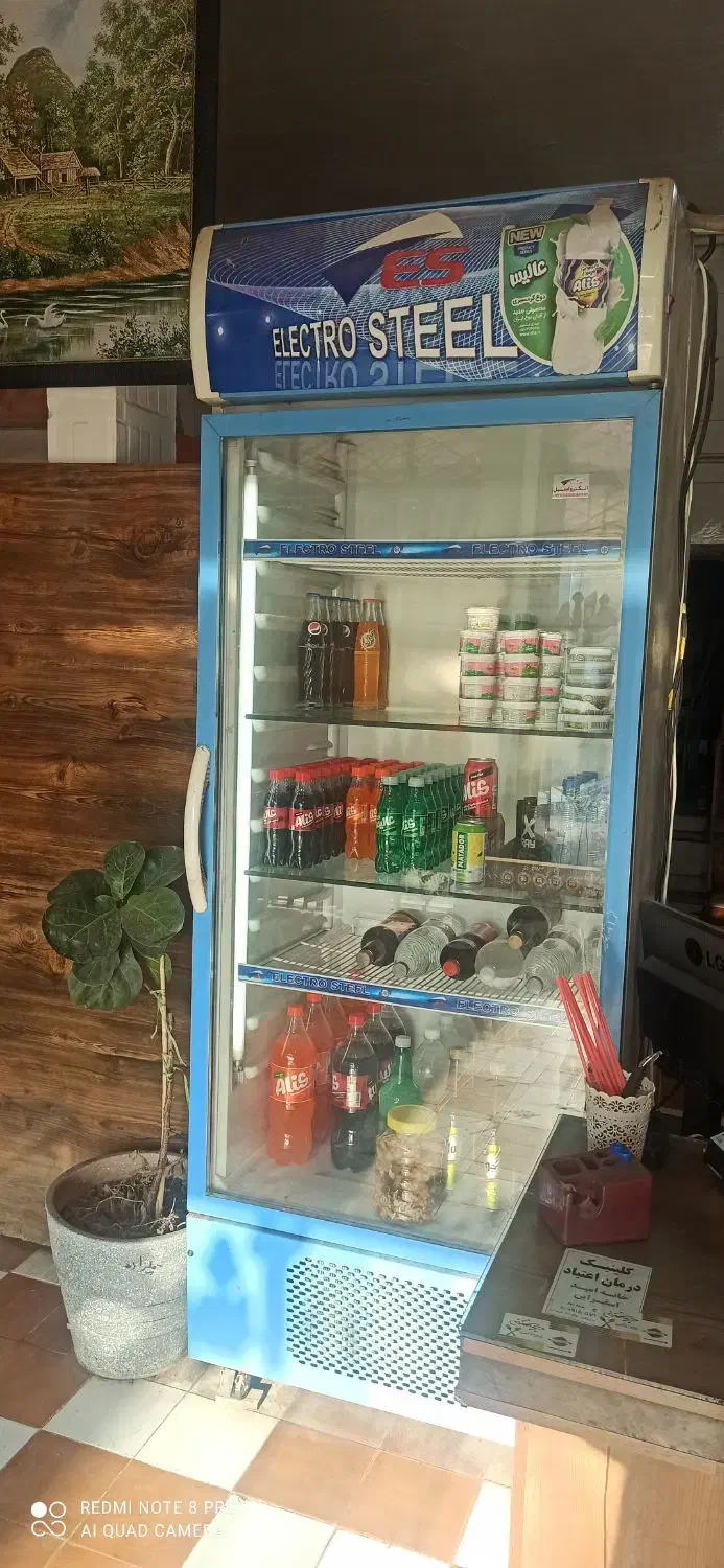 دو عددیخچال الکترو استیل|فروشگاه و مغازه|اسفراین, |دیوار