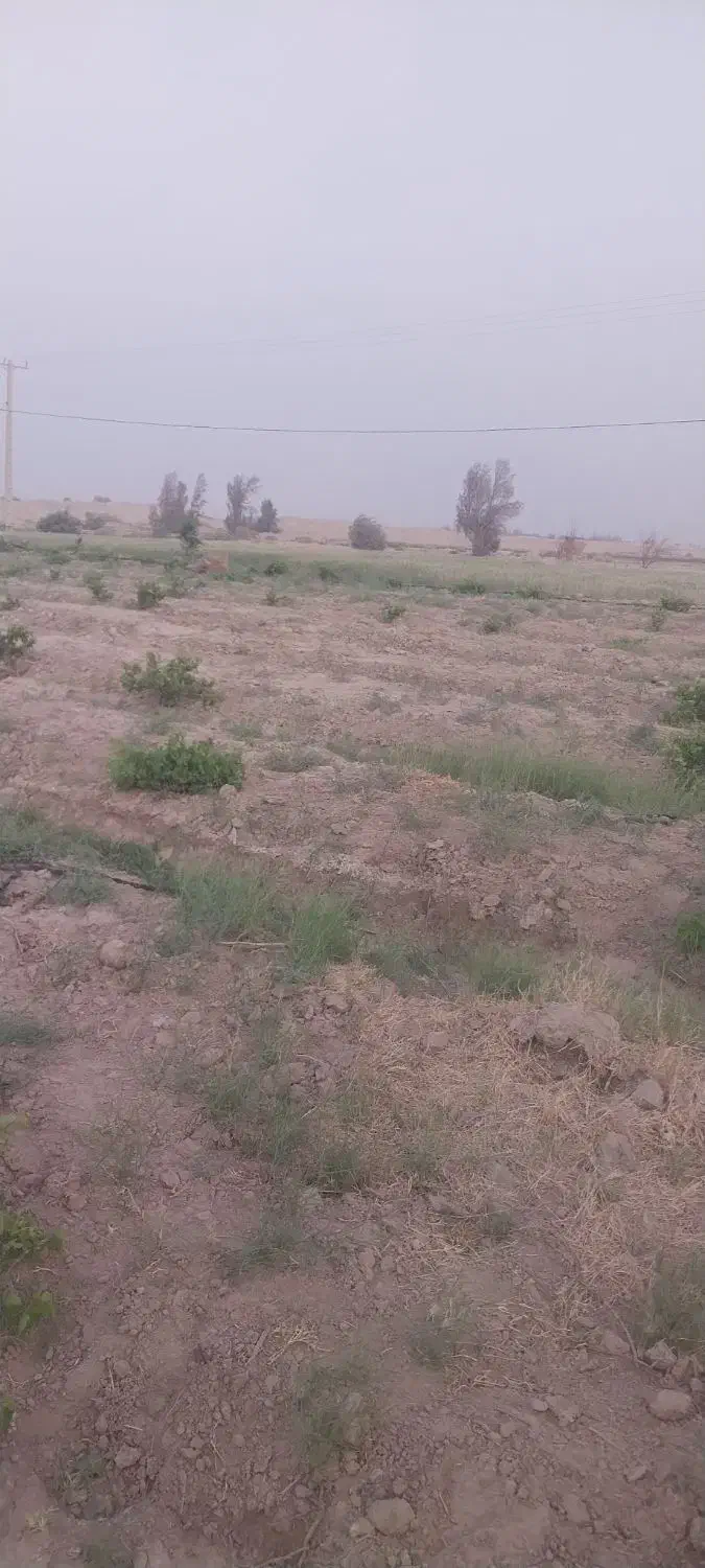 نیازمند کارگر کشتگر|استخدام صنعتی، فنی، مهندسی|زهک, |دیوار