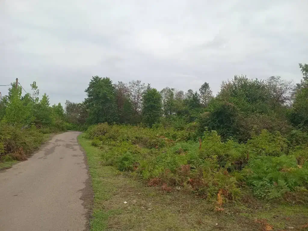 ویلا جنگلی|اجارهٔ کوتاهمدت ویلا و باغ|گوراب زرمیخ, |دیوار