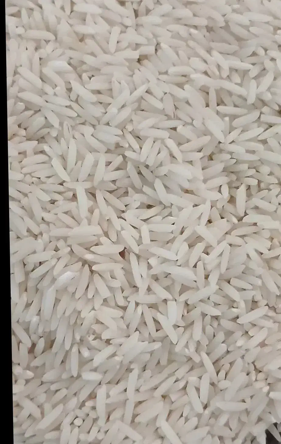 برنج شمال هاشمی گیلان درجه 1|خوردنی و آشامیدنی|بوشهر, |دیوار