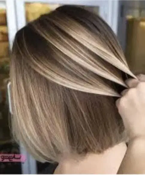 مدل کوتاهی ،رنگ ولایت،فر،میکروابرو وشیدینگ لب|خدمات آرایشگری و زیبایی|مبارکه, |دیوار