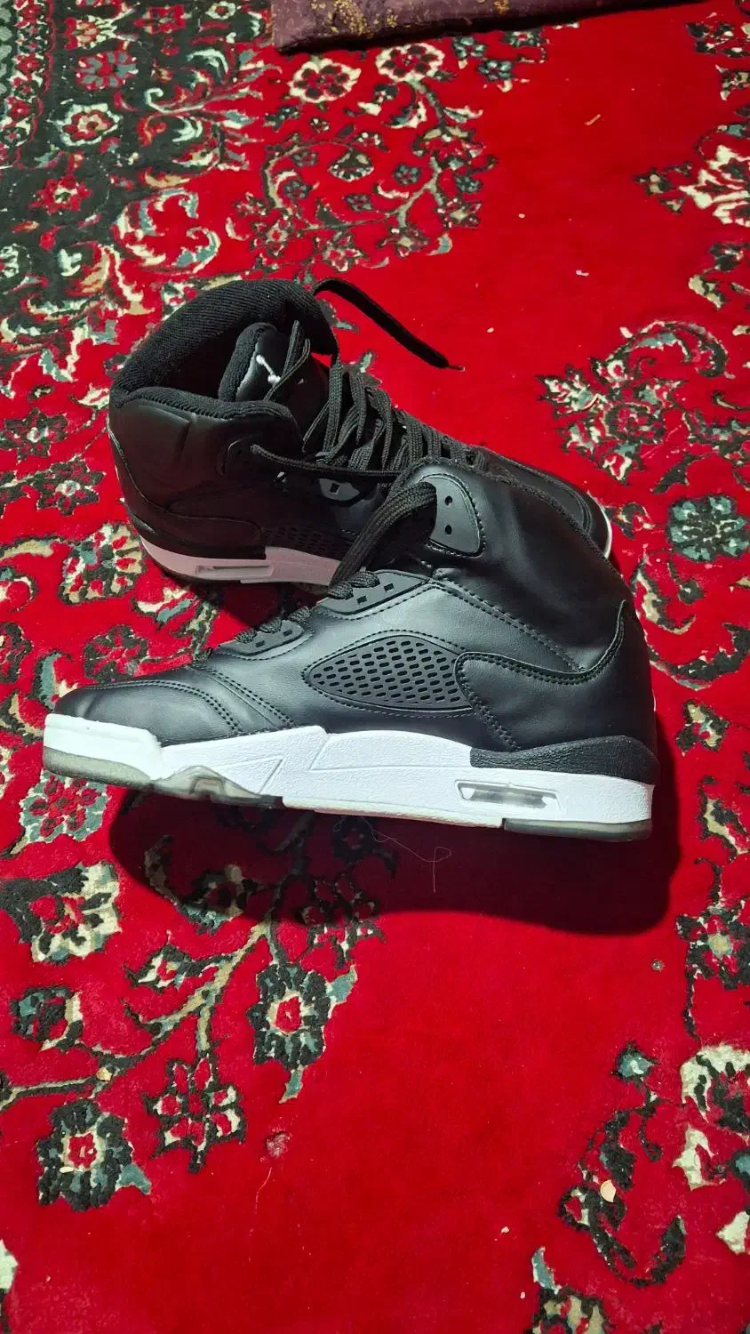 کفش نایک جردن|کیف، کفش، کمربند|شیراز, نیستان|دیوار