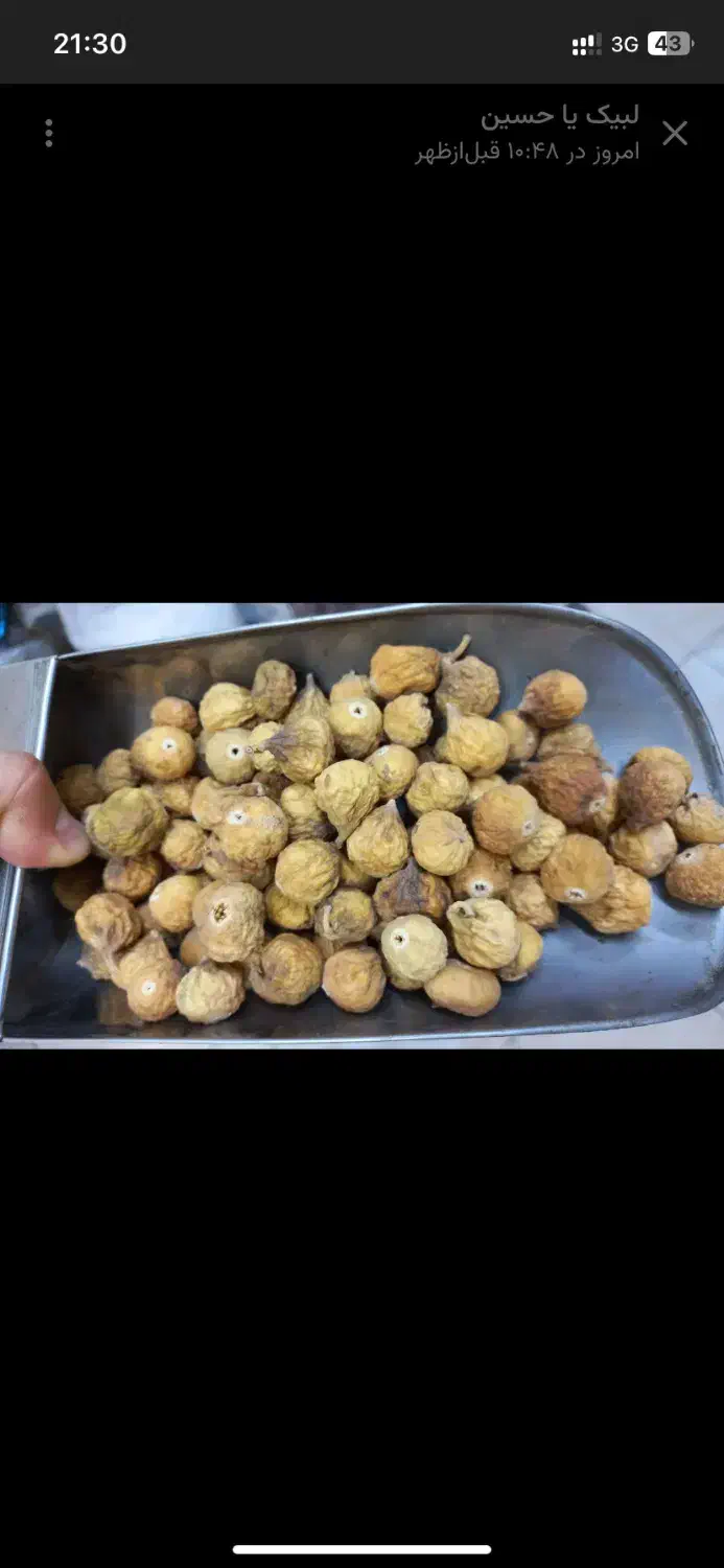 انواع انجیر..|خوردنی و آشامیدنی|قم, آزادگان|دیوار
