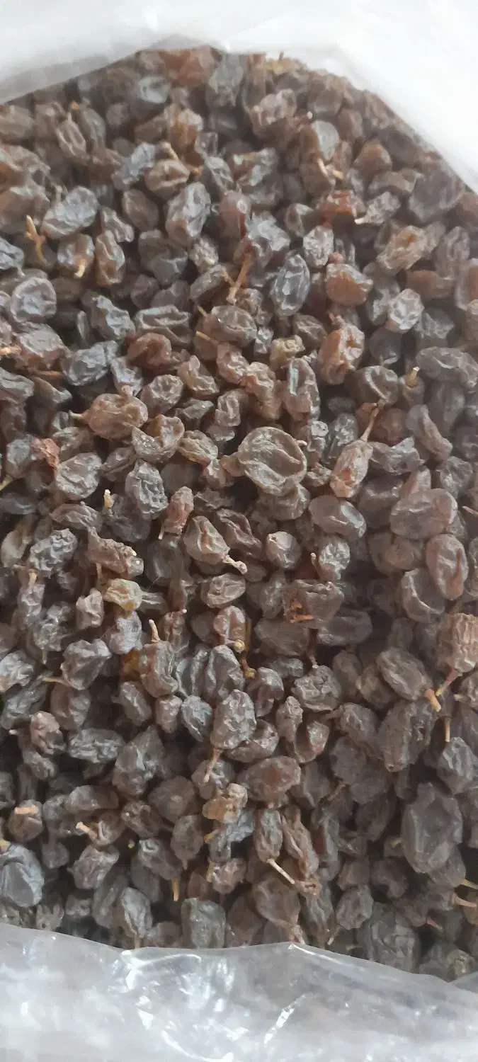 کشمش افتابی|خوردنی و آشامیدنی|قم, ولیعصر|دیوار