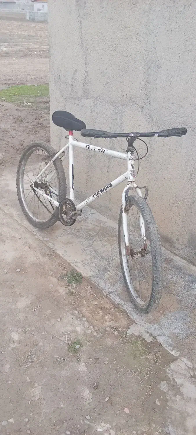 دوچرخه|دوچرخه، اسکیت، اسکوتر|انبارآلوم, |دیوار