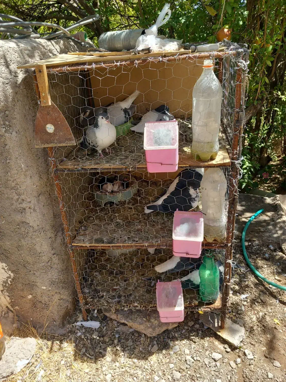 چفت طوری معاوضه|لوازم جانبی حیوانات|زرند, |دیوار