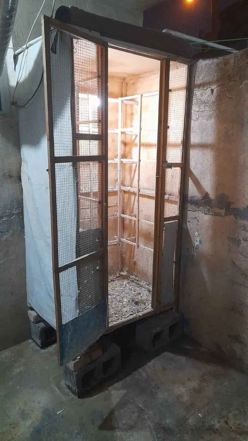 پرنده با قفس|پرنده|ایوان, |دیوار