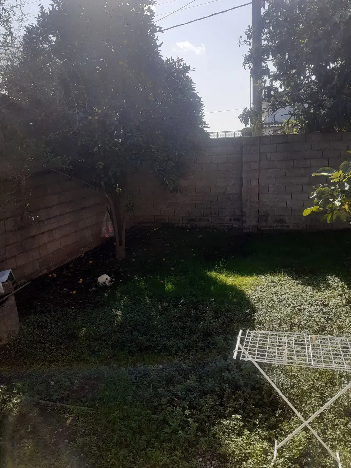 مغازه در احمدکلا|فروش زمین و ملک کلنگی|هادی شهر, |دیوار